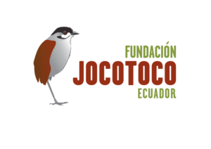 tropical birding tours ecuador