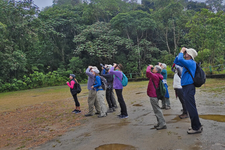 Birdwatching Ecuador