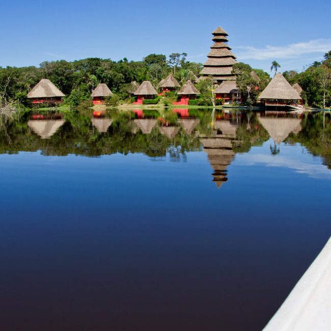 Amazon Rainforest / Yasuni National Park NWC | Neotropical Nature and ...